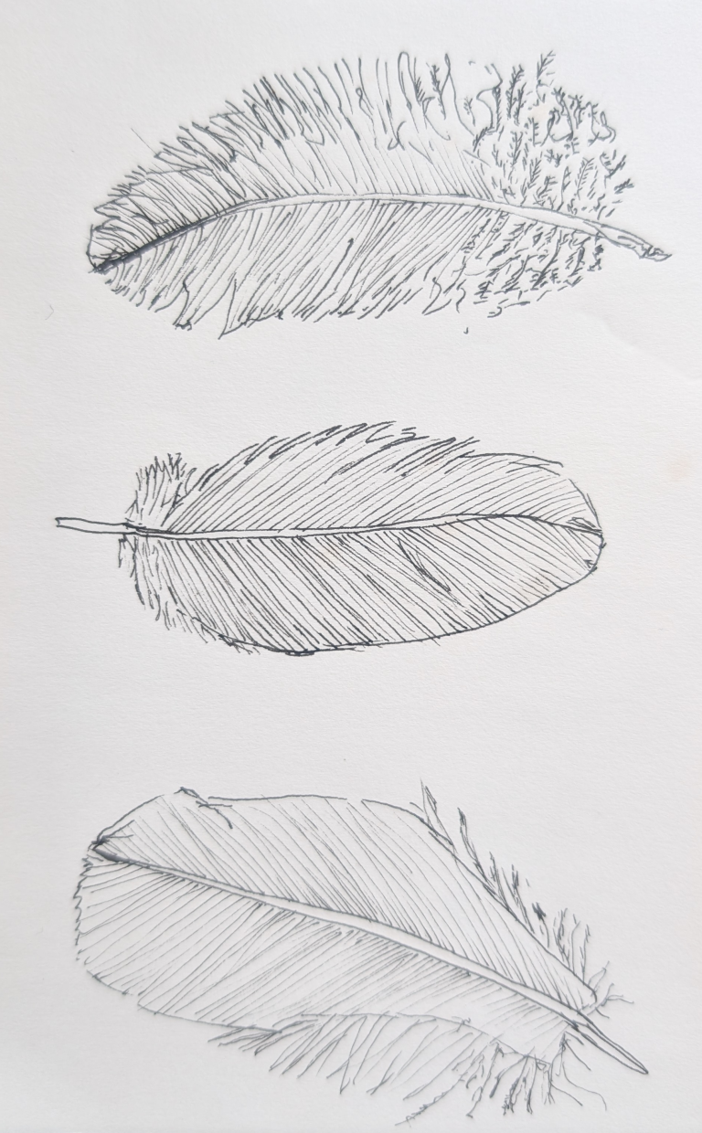 Ink Drawings